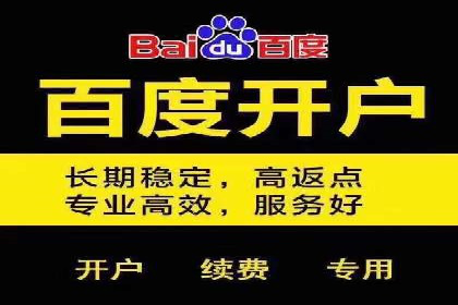 搜索引擎优化（SEM）在移动端的实践案例